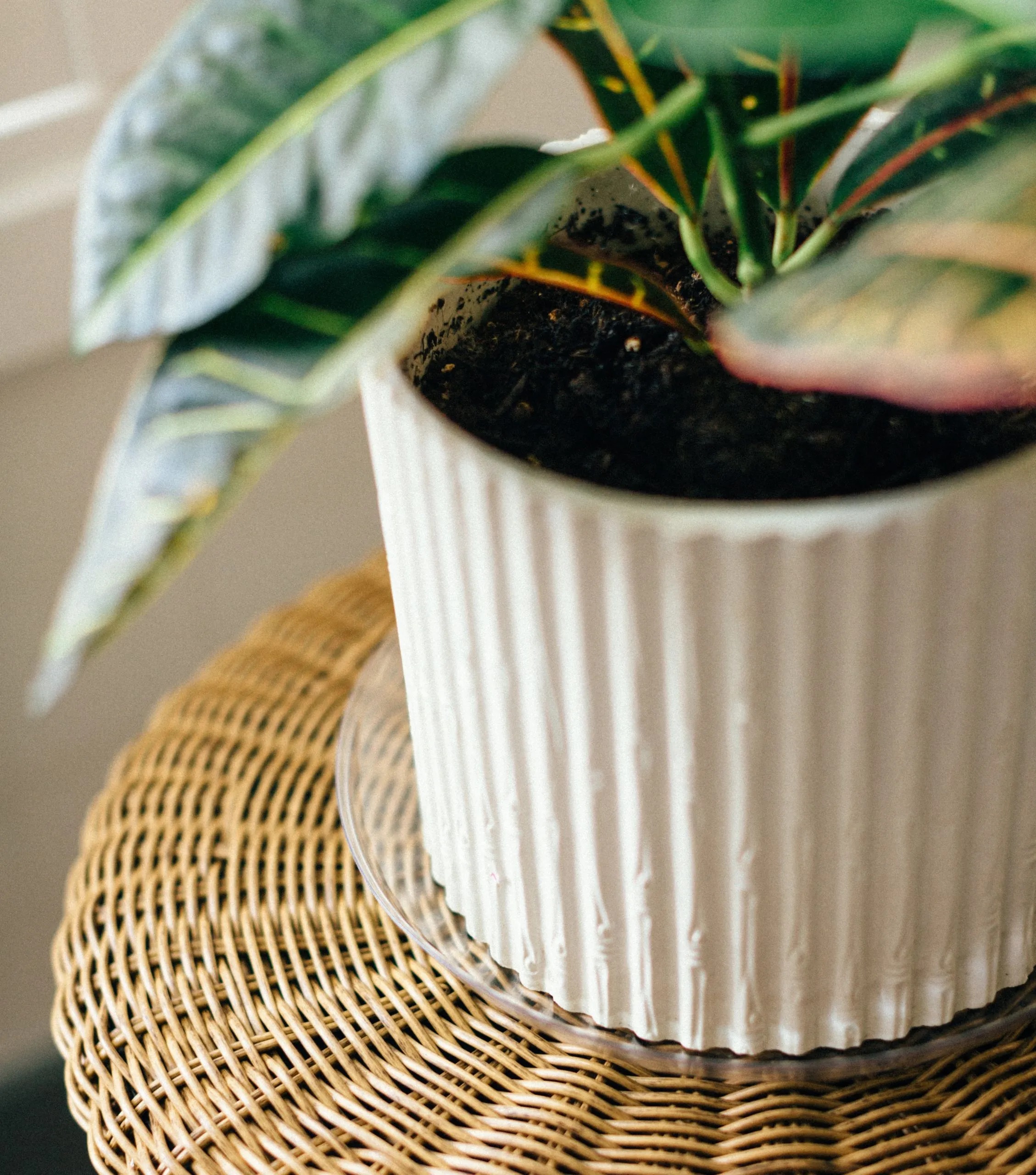Vinyl Plant Saucer 8″ – Clear